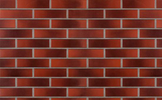 Кирпич облицовочный клинкерный пустотелый Terca Futura Kosmo гладкий, 250*60*65 мм