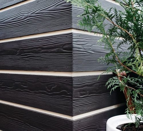 Сайдинг CEDRAL wood (под дерево) С11